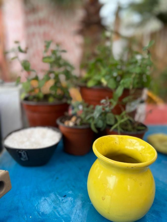 بيت شباب La Sardina تودوس سانتوس المظهر الخارجي الصورة